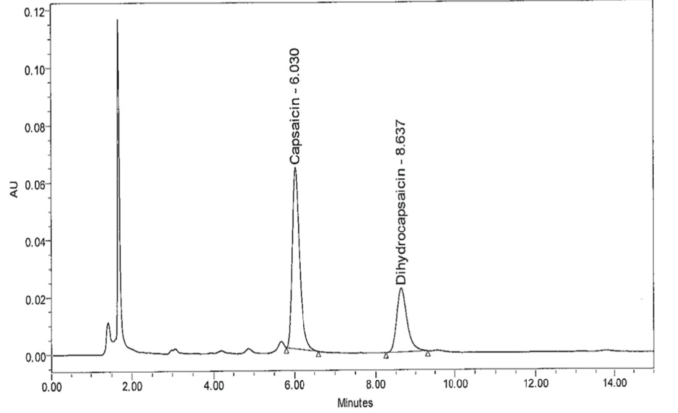 แสดงตัวอย่างโครมาโตแกรมของสารแคปไซซินและไดไฮโดรแคปไซซินที่สกัดได้จาก KHO.2P