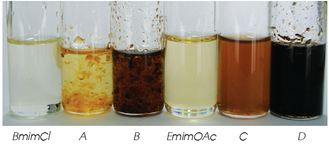 Dissolution of Corn husk in BmimCl (A) and EmimOAc (C) and coconut husk in BmimCl (B) and EmimOAc (D)