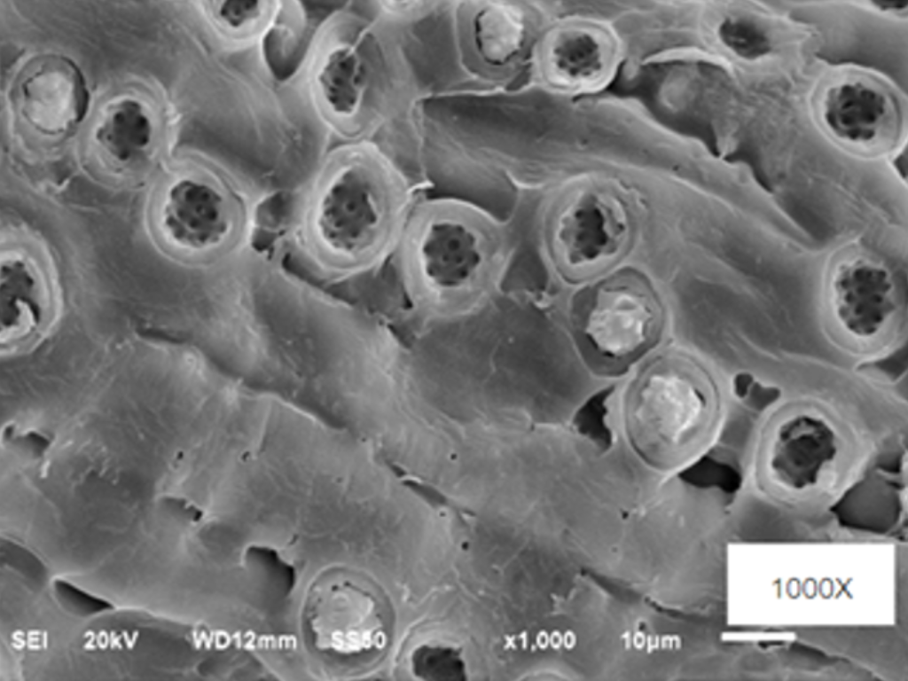 Improving coconut fiber sheet performance  via stepwise chemical treatments